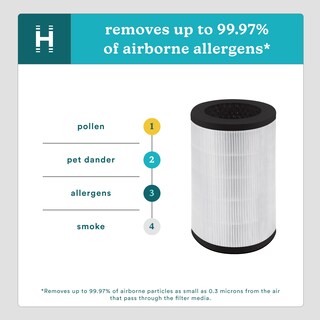 Foto 4 | Filtro de Repuesto para Purificador de Aire Homedics Totalclean True Hepa - Venta Internacional