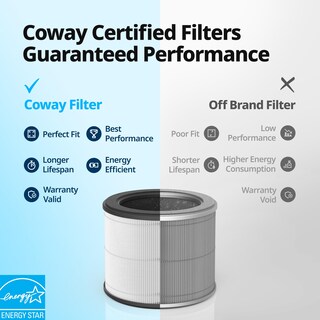 Foto 2 | Juego De Filtros De Repuesto Para Purificador De Aire Coway Airmega 100 - Venta Internacional.
