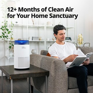Foto 5 | Juego De Filtros De Repuesto Para Purificador De Aire Coway Airmega 100 - Venta Internacional.