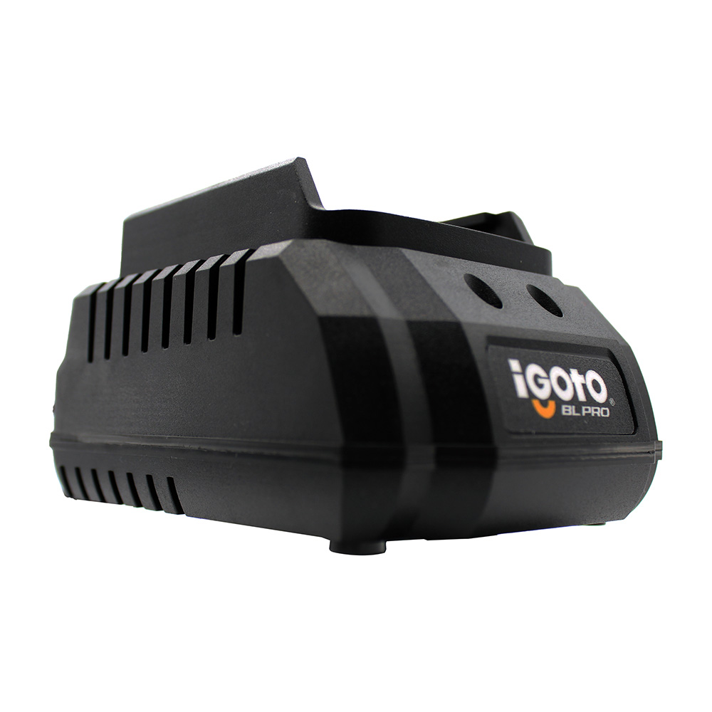 Cargador 20 V Entrada 100-240 Salida 20v Dc  2.a
