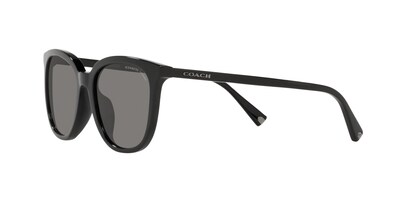 Foto 3 | Lente De Sol Coach Hc8338u Color Gris Oscuro Forma Cuadrada Para Hombre Polarizado