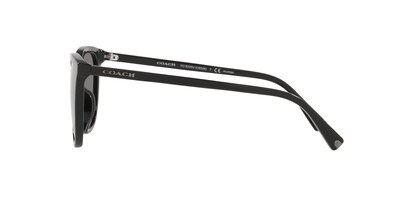 Foto 4 | Lente De Sol Coach Hc8338u Color Gris Oscuro Forma Cuadrada Para Hombre Polarizado
