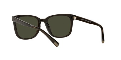 Foto 6 | Lente De Sol Coach 0hc8313u Color Verde Oscuro Sólido Forma Pillow