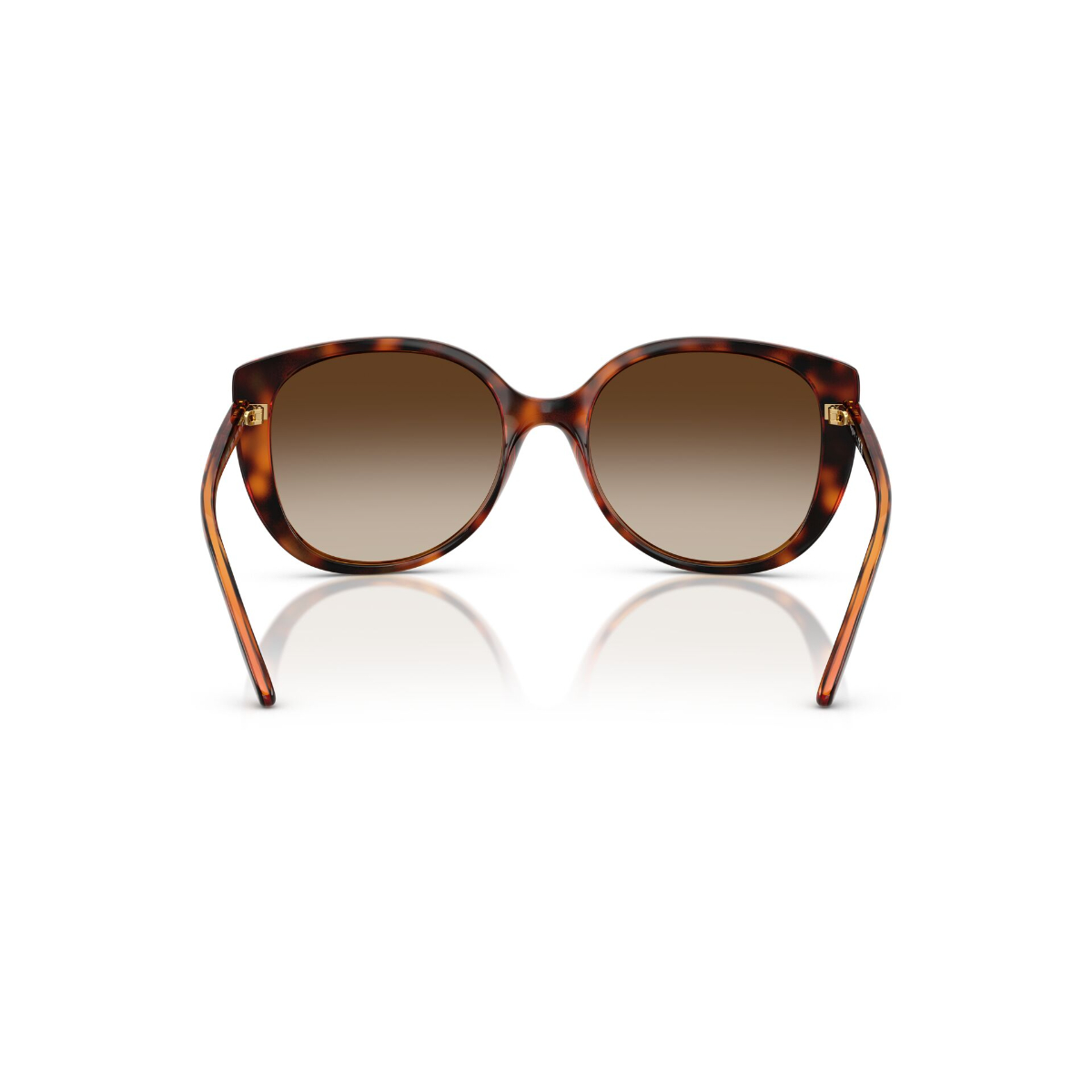 Foto 5 pulgar | Lentes De Sol Marrón Degradados Vogue Eyewear