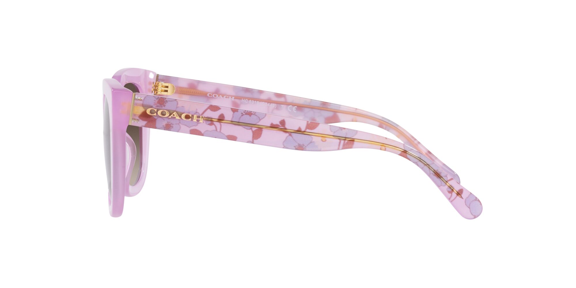 Foto 5 pulgar | Lente De Sol Coach Hc8318 Color Café Degradado Forma Cuadrada Para Mujer