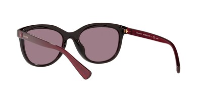 Foto 6 | Lente De Sol Coach Hc8285u Color Burdeos Forma Pillow Para Mujer Polarizado