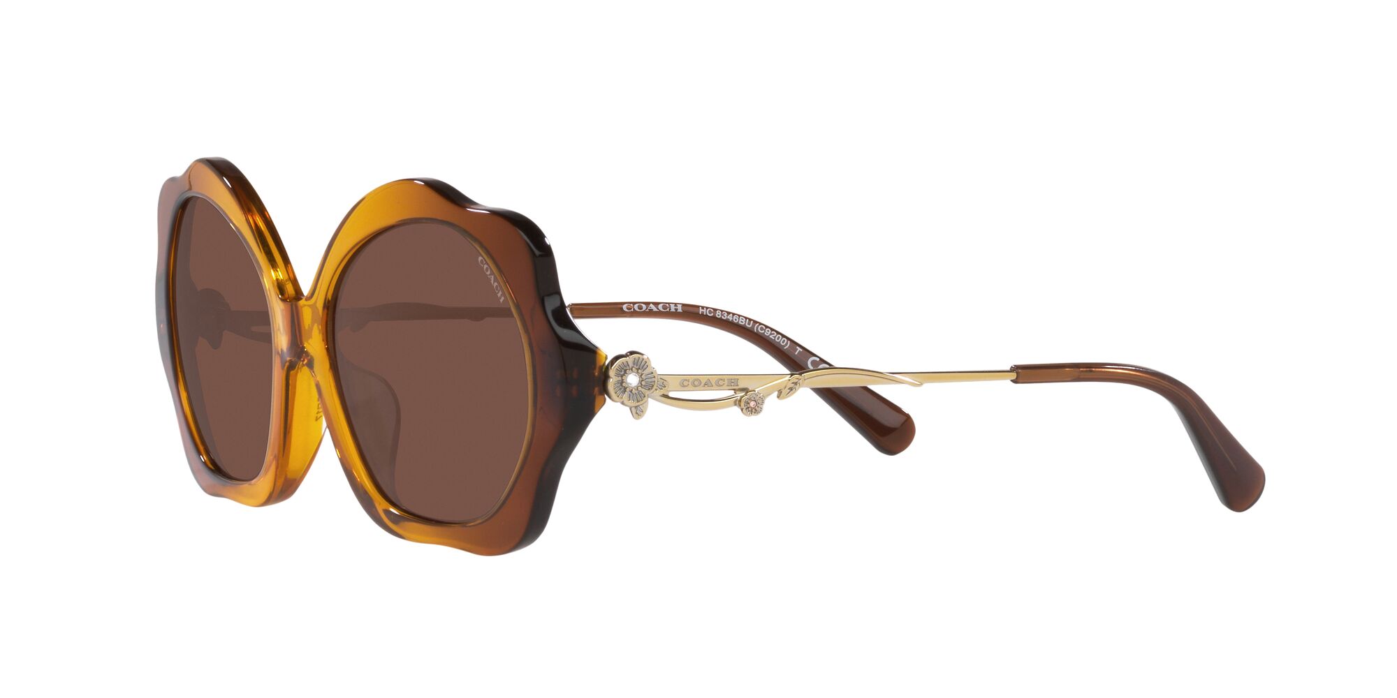 Foto 4 pulgar | Lente De Sol Coach 0hc8346bu Color Humo Sólido Forma Irregular