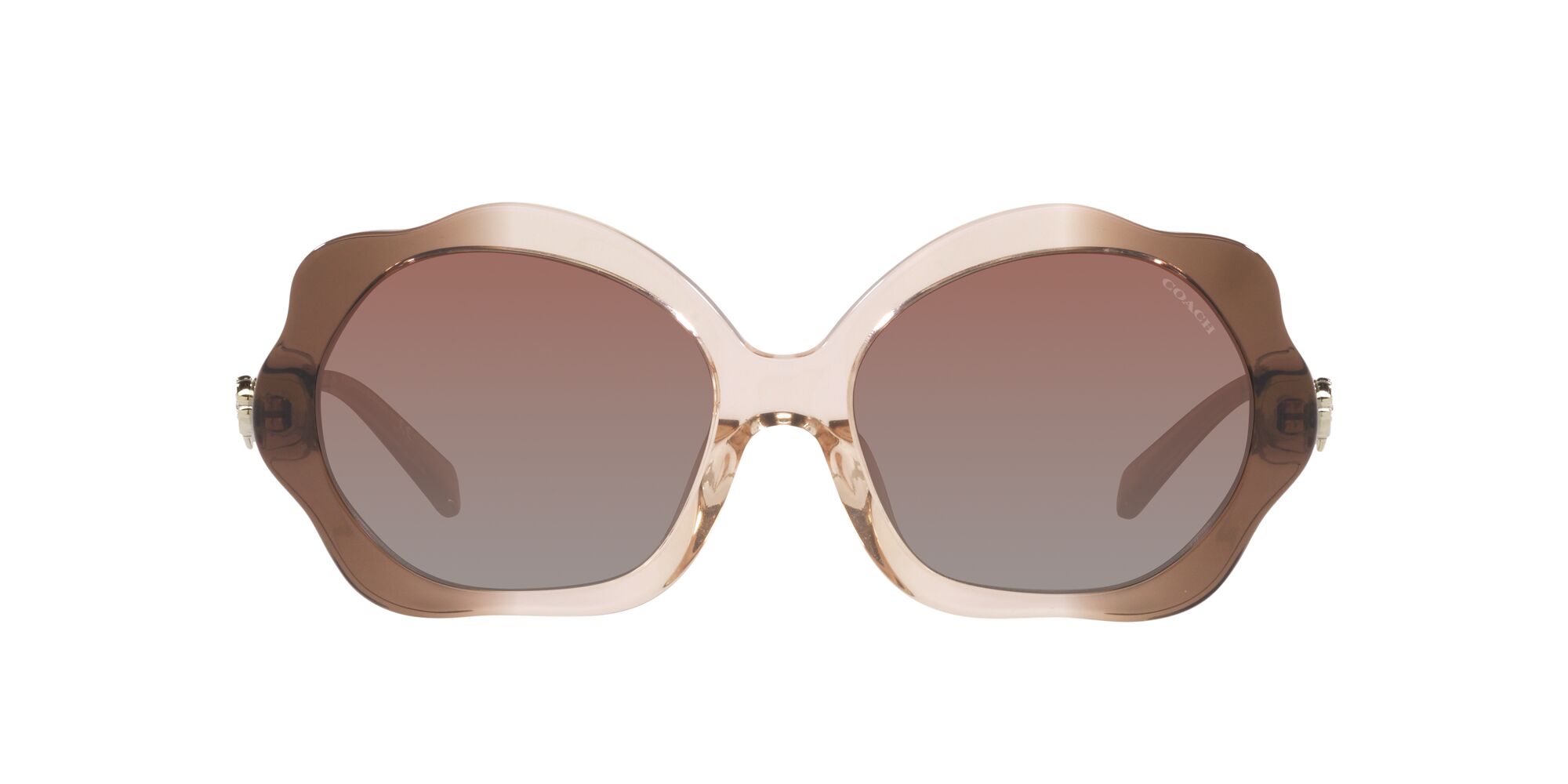 Lente De Sol Coach 0hc8346bu Color Marrón Degradado Forma Irregular