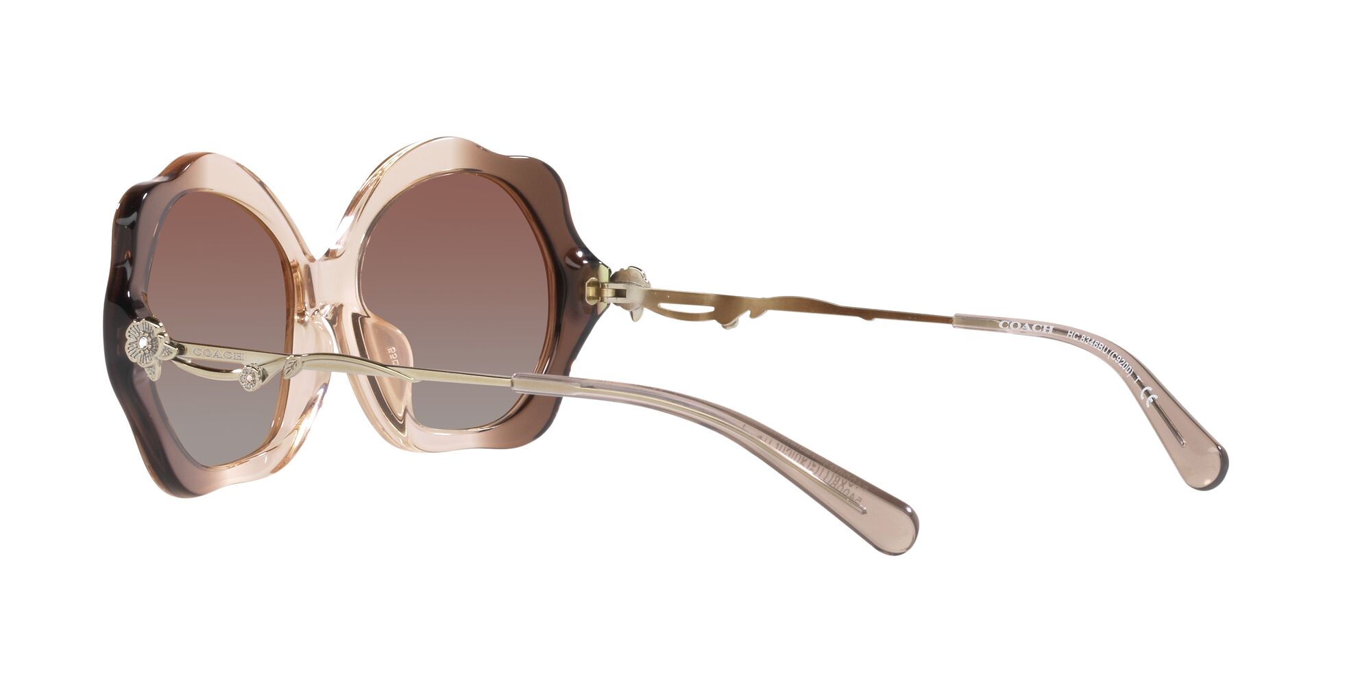 Foto 5 | Lente De Sol Coach 0hc8346bu Color Marrón Degradado Forma Irregular