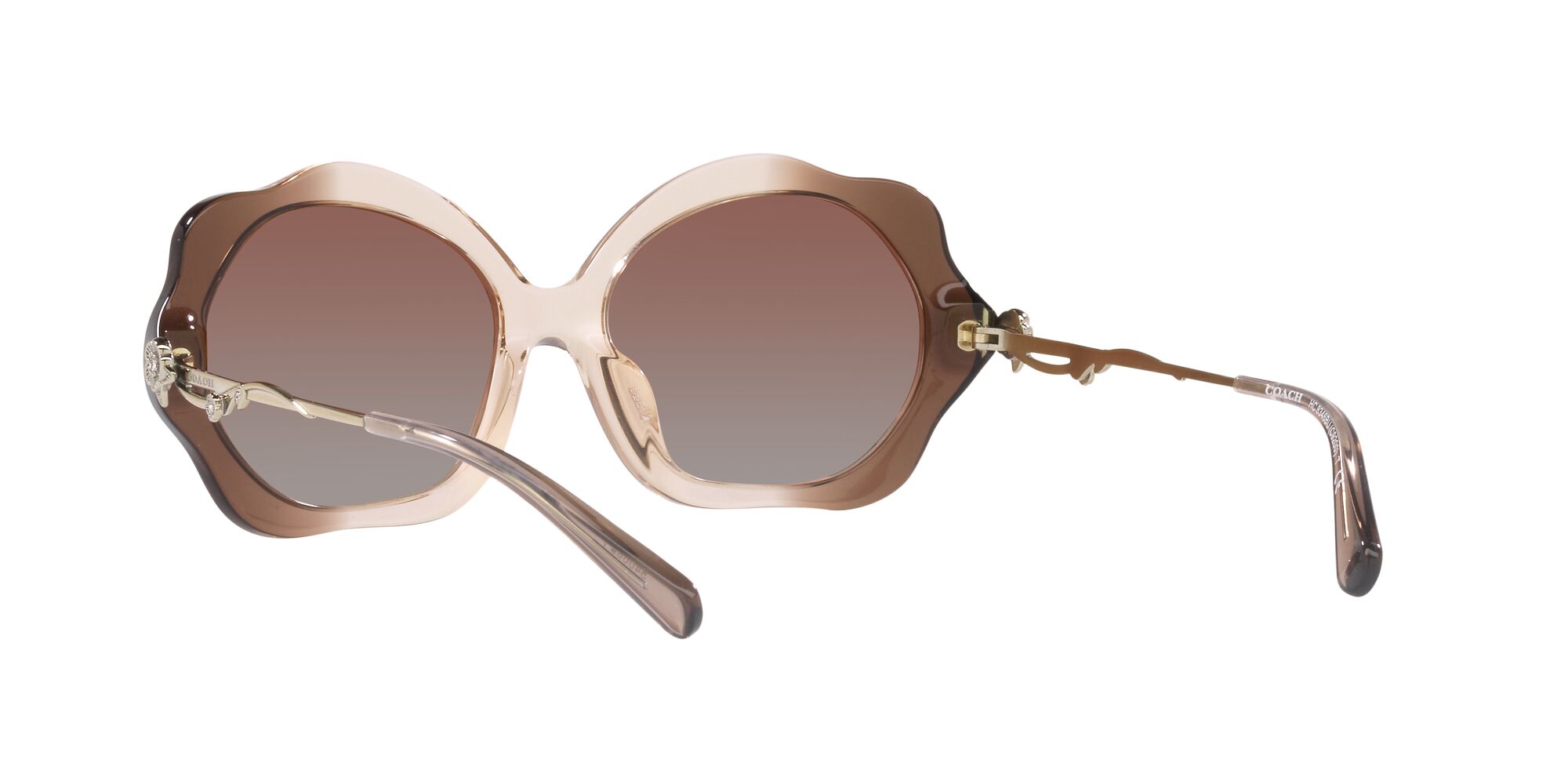 Foto 6 | Lente De Sol Coach 0hc8346bu Color Marrón Degradado Forma Irregular