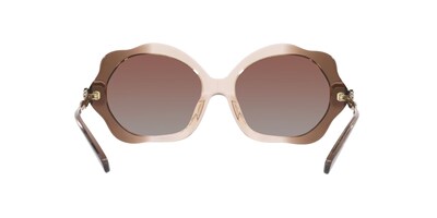 Foto 7 | Lente De Sol Coach 0hc8346bu Color Marrón Degradado Forma Irregular