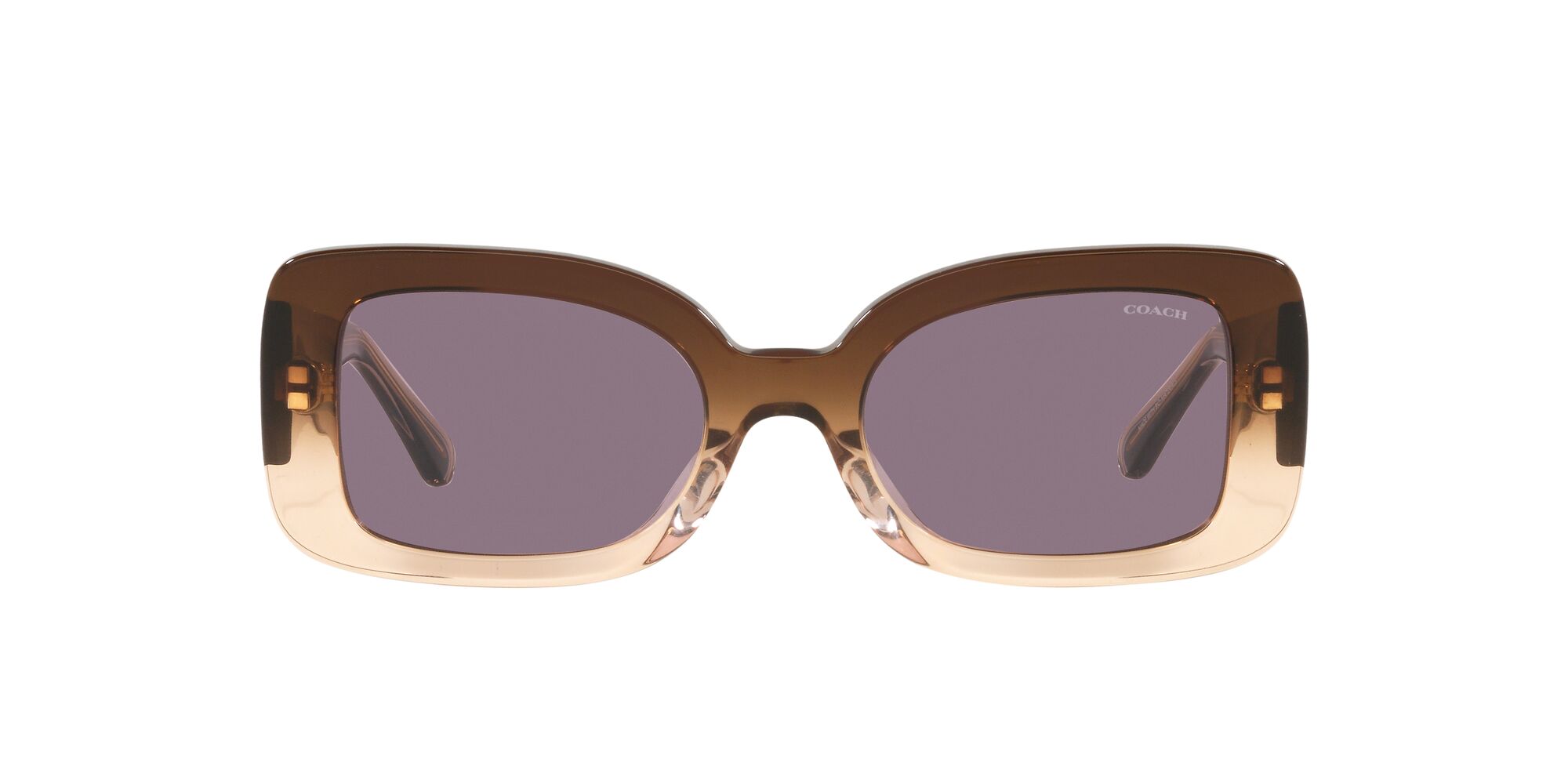 Lente De Sol Coach 0hc8336u Color Violeta Sólido Forma Rectangular