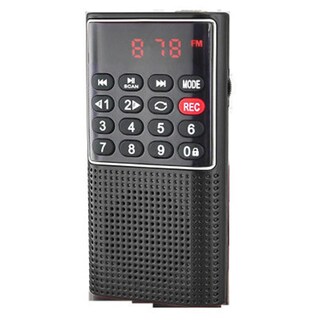 Foto 1 | Mini Radio Fm Grabadora Portátil Con Tarjeta Tf Y Disco U - Venta Internacional.