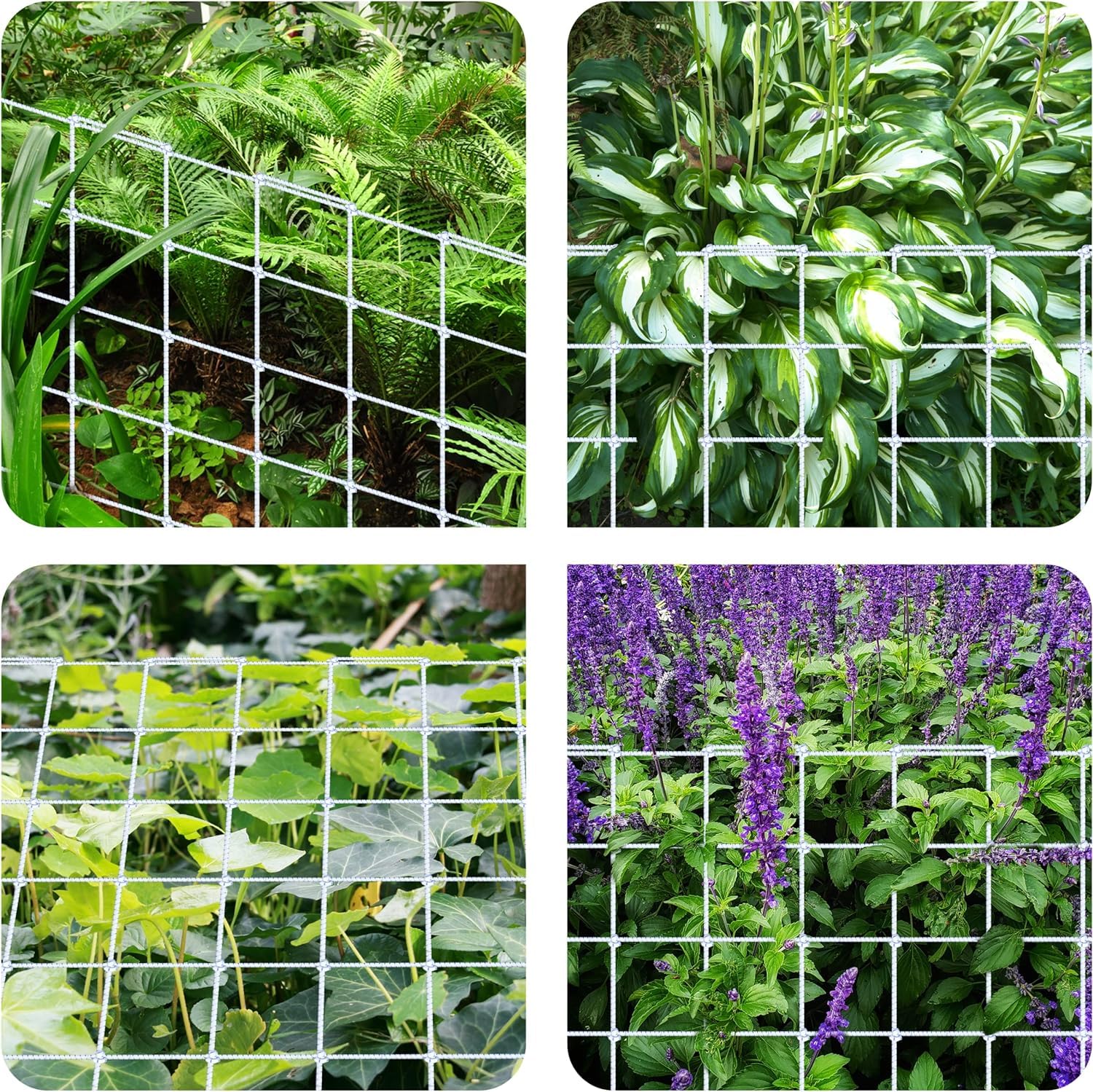 Foto 7 | Trellis Netting Simple Deluxe Elástico Para Grow Ten De 150 X 150 Cm - Venta Internacional.
