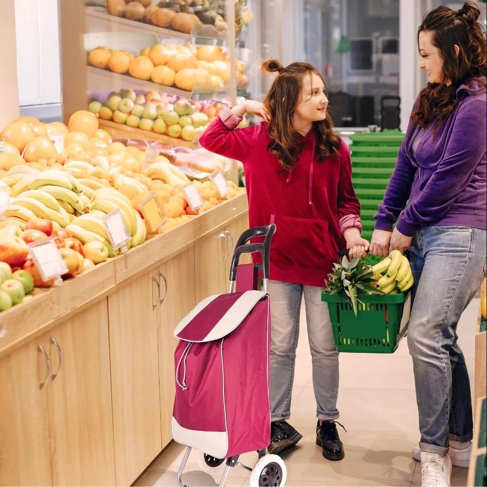 Foto 5 pulgar | Carrito de Compras Cjr Plegable y Multiusos