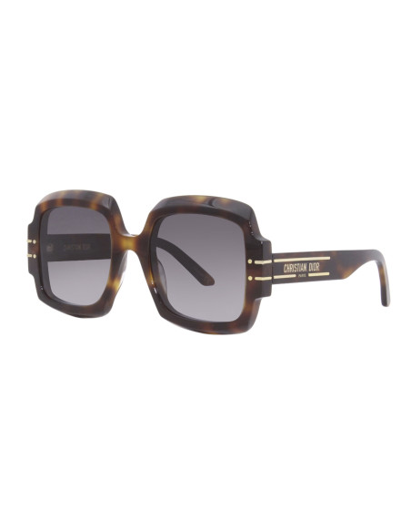 Lentes De Sol Dior Signature S1u 26a1