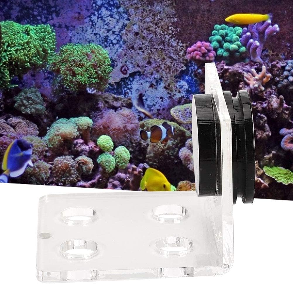 Foto 5 pulgar | Soporte Acrílico Para Acuarios Y Peceras En Forma De Coral - Venta Internacional.