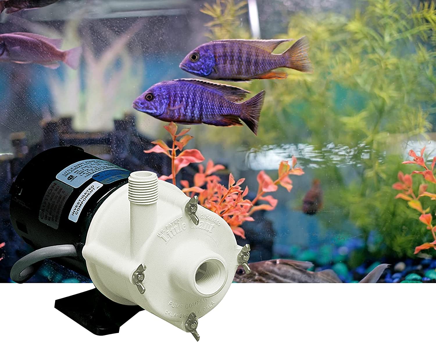 Foto 2 | Bomba Para Acuarios Little Giant 2-mdqx-sc 115 V 1/30 Hp 640l/h - Venta Internacional.