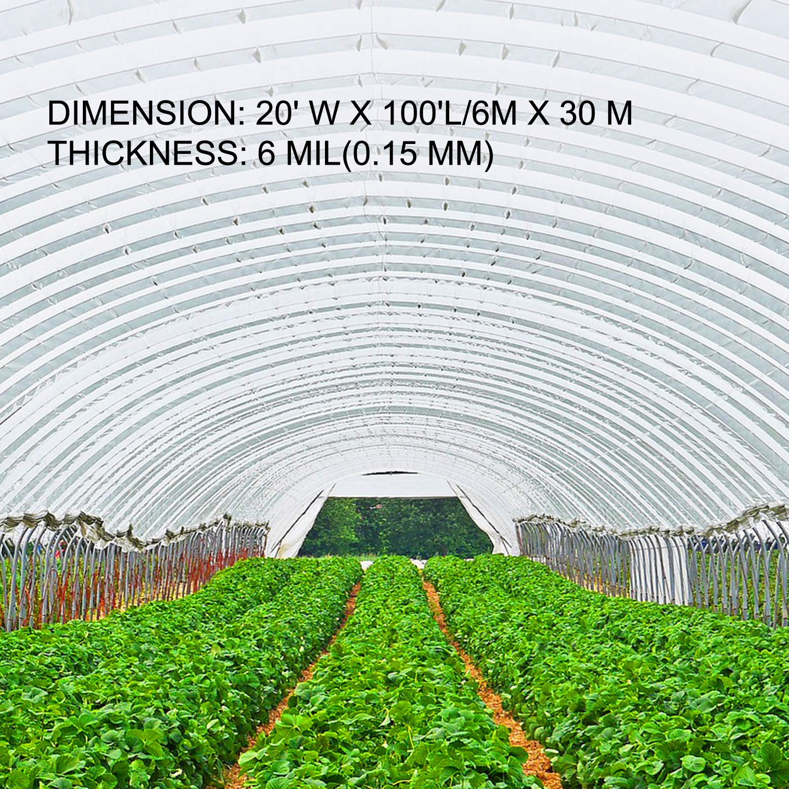 Foto 3 | Lámina De Plástico Para Invernadero Vevor, 6 Mil, 6 X 30 M, Resistente A Los Rayos Uv - Venta Internacional.