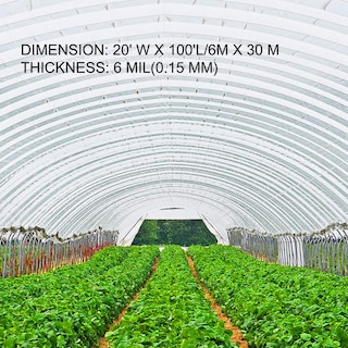 Foto 3 | Lámina De Plástico Para Invernadero Vevor, 6 Mil, 6 X 30 M, Resistente A Los Rayos Uv - Venta Internacional.