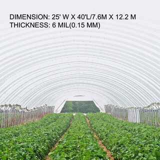 Foto 3 | Lámina De Plástico Para Invernadero Vevor De 7,6 X 12,2 M, 6 Mil, Resistente A Los Rayos Uv - Venta Internacional.