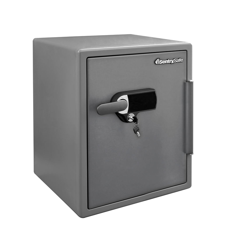 Caja Fuerte con Alarma Sentry Safe Sfw205upc color Gris