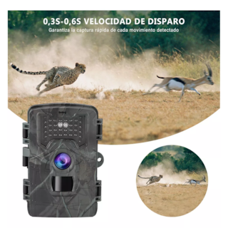 Foto 3 | Cámara Digital de Cacería de 1080p Ip66 con Visión Nocturna Negra Belug
