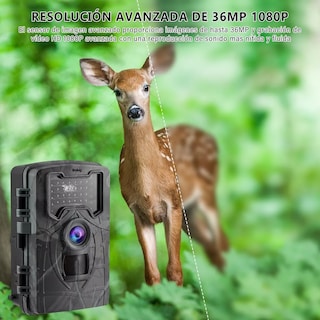 Foto 4 | Cámara Digital de Cacería de 1080p Ip66 con Visión Nocturna Negra Belug
