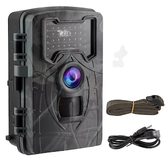 Foto 1 | Cámara de Cacería digital con Visión Nocturna y Resistencia IP66