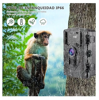 Foto 4 | Cámara de Cacería digital con Visión Nocturna y Resistencia IP66