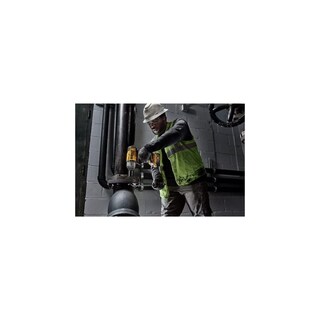 Foto 7 | Llave de Impacto Dewalt 20v Max Xr 1/2 Pulg. Dcf900p2 Hog Ring - Venta Internacional