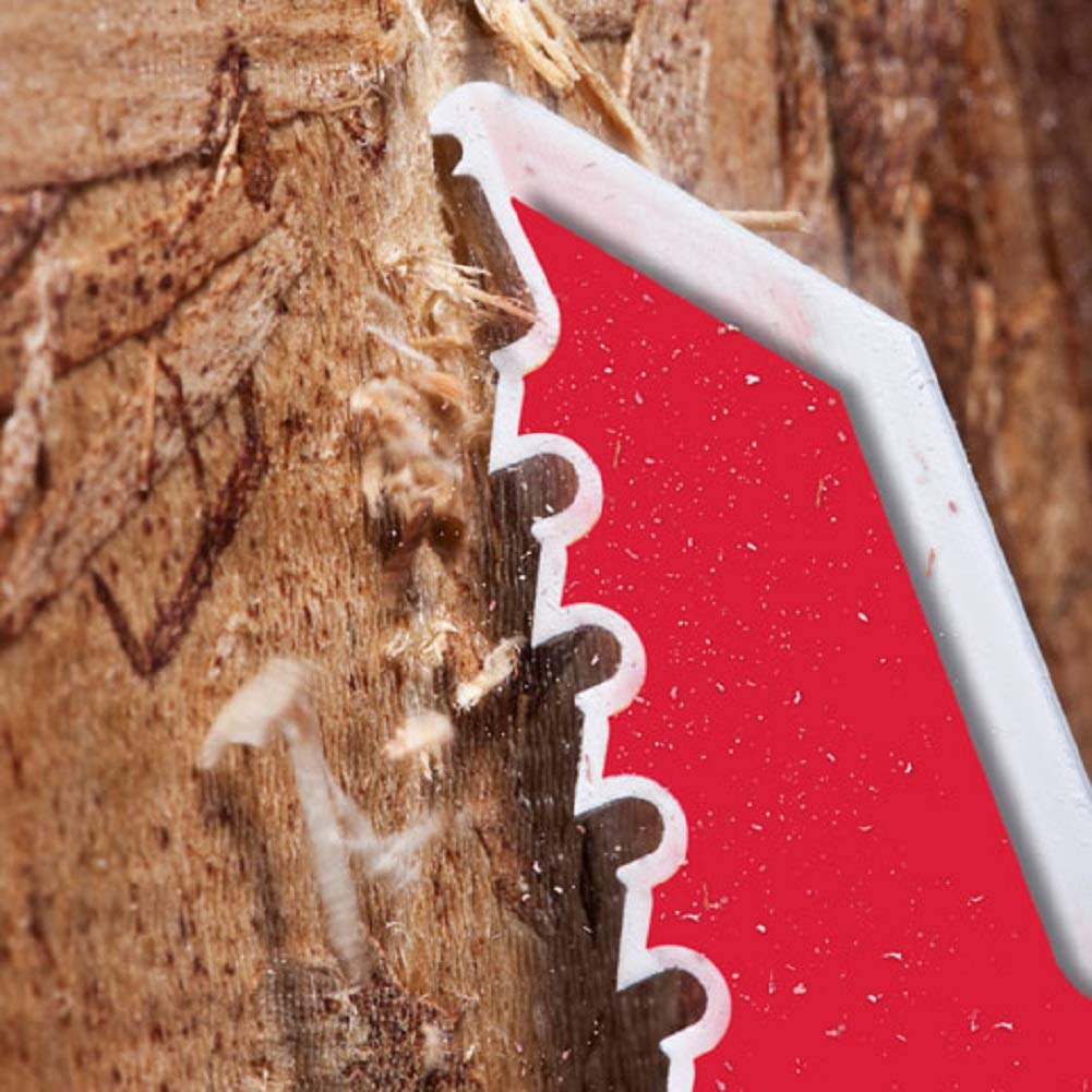 Foto 5 | Hoja De Sierra Recíproca Milwaukee Bimetálica De 6 Cm, Paquete De 5 - Venta Internacional.
