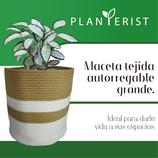 Foto 2 | Maceta Tejida Autorregable Grande Planterist Marrón