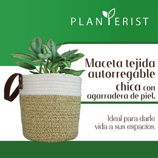Foto 2 | Maceta Tejida Autorregable Chica con Agarradera De Piel Planterist color Marrón