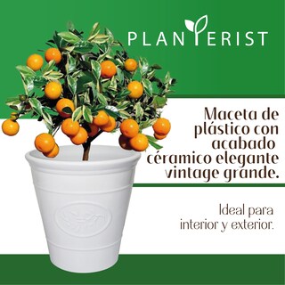 Foto 2 | Maceta Grande - Planterist - Acabado Cerámico Elegante Vintage color Blanco Brilloso