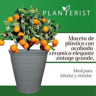 Foto 2 | Maceta Grande - Planterist - Acabado Cerámico Elegante Vintage color Gris Brilloso