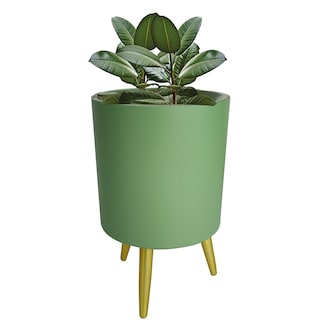 Foto 1 | Maceta Redonda Autorregable Planterist - Diseño Nórdico - Verde Olivo