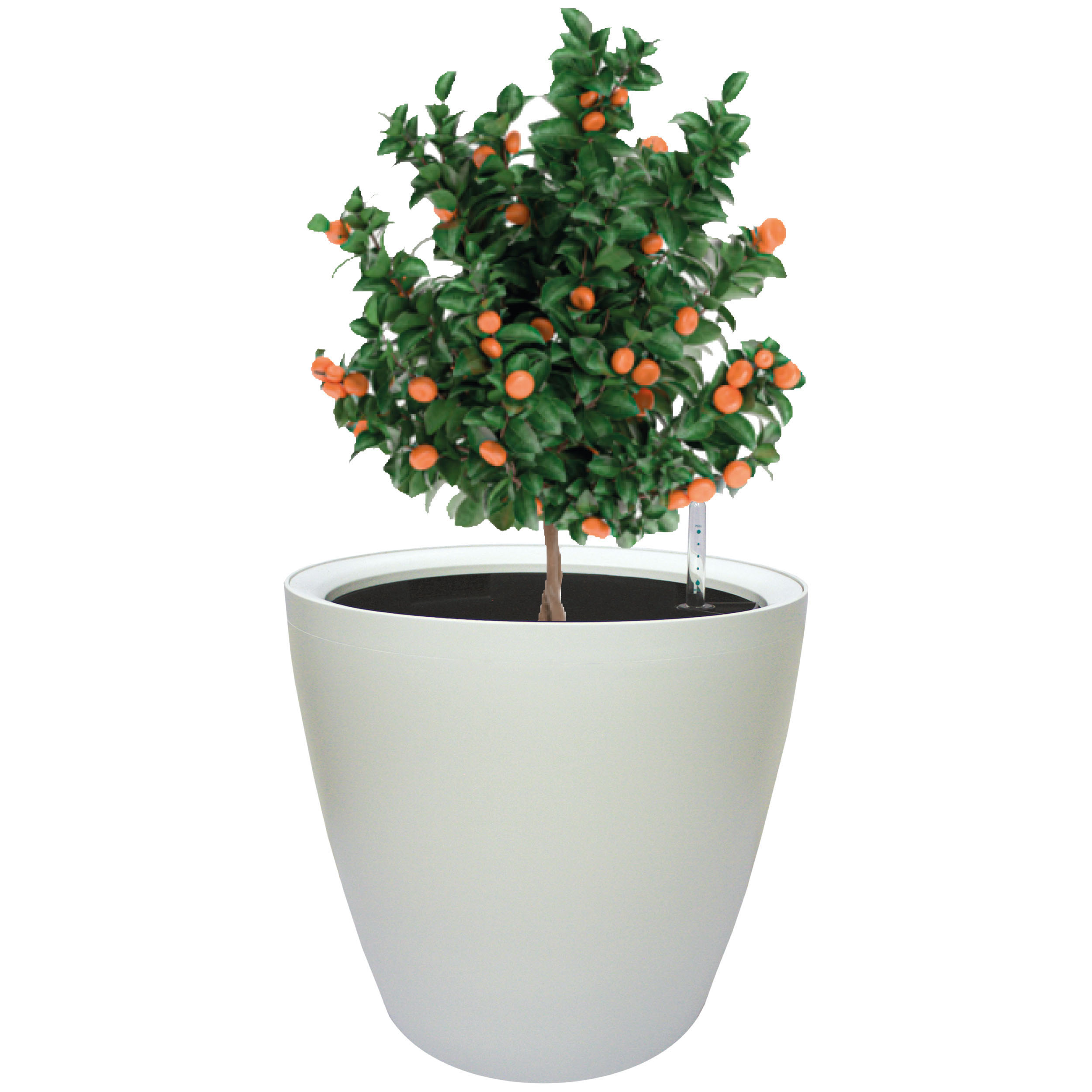 Maceta Autorregable Aq4338 - Smart Garden - Grande Moderna - Blanco Mate