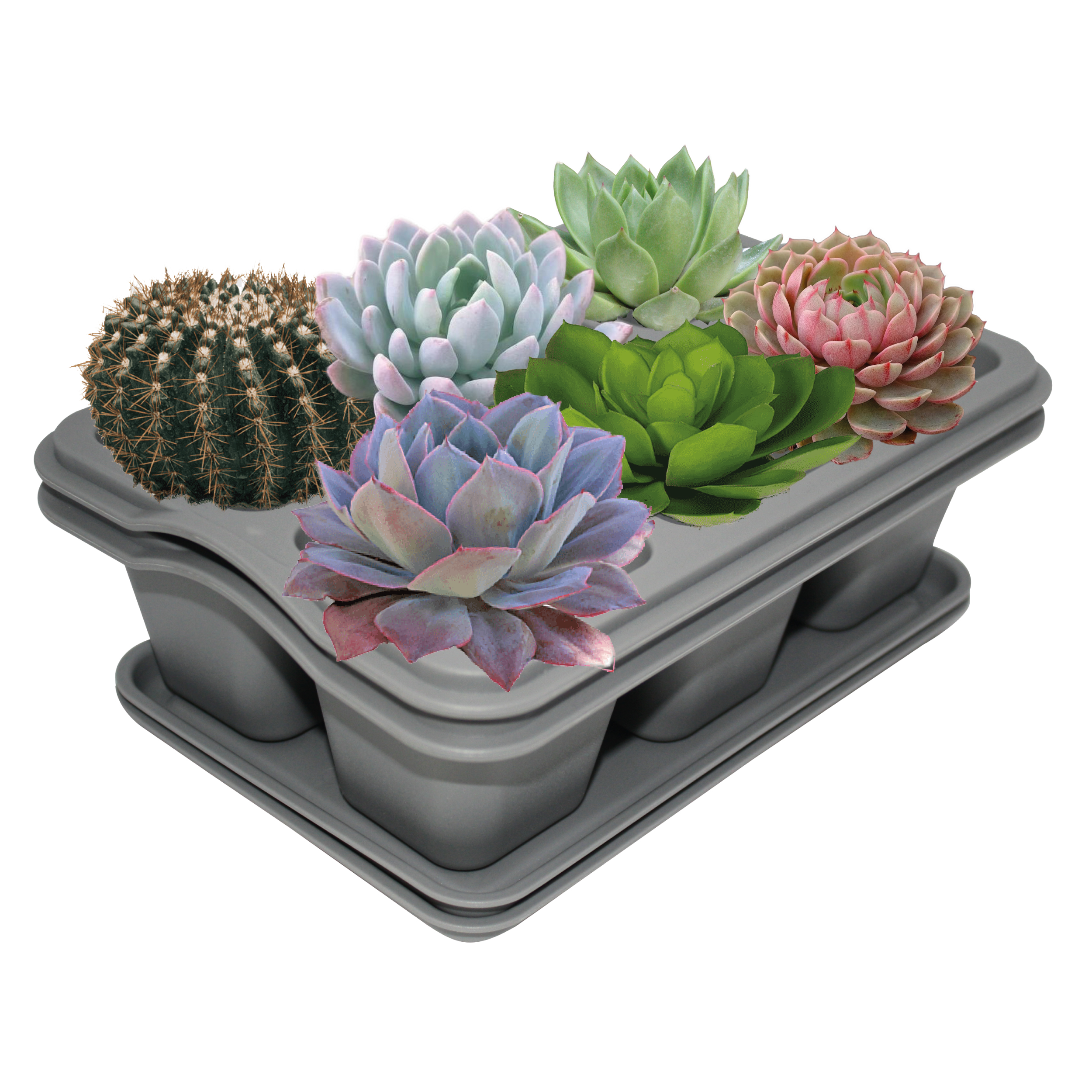 Kit 2 Charola Moderna Rectangular Para Suculentas - Smart Garden - Gris