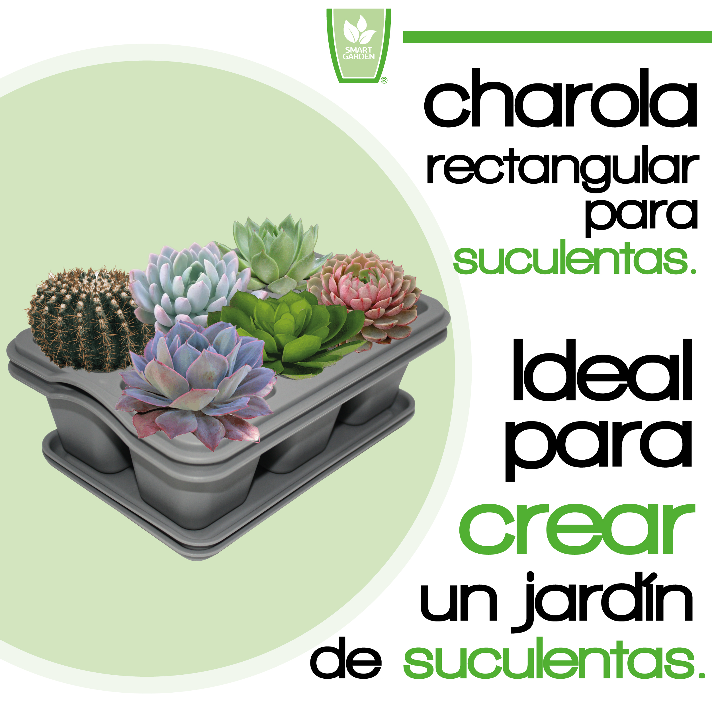 Foto 3 pulgar | Kit 2 Charola Moderna Rectangular Para Suculentas - Smart Garden - Gris