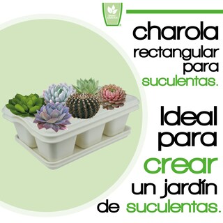 Foto 2 | Kit 2 Charola Moderna Rectangular Para Suculentas - Smart Garden - Blanco