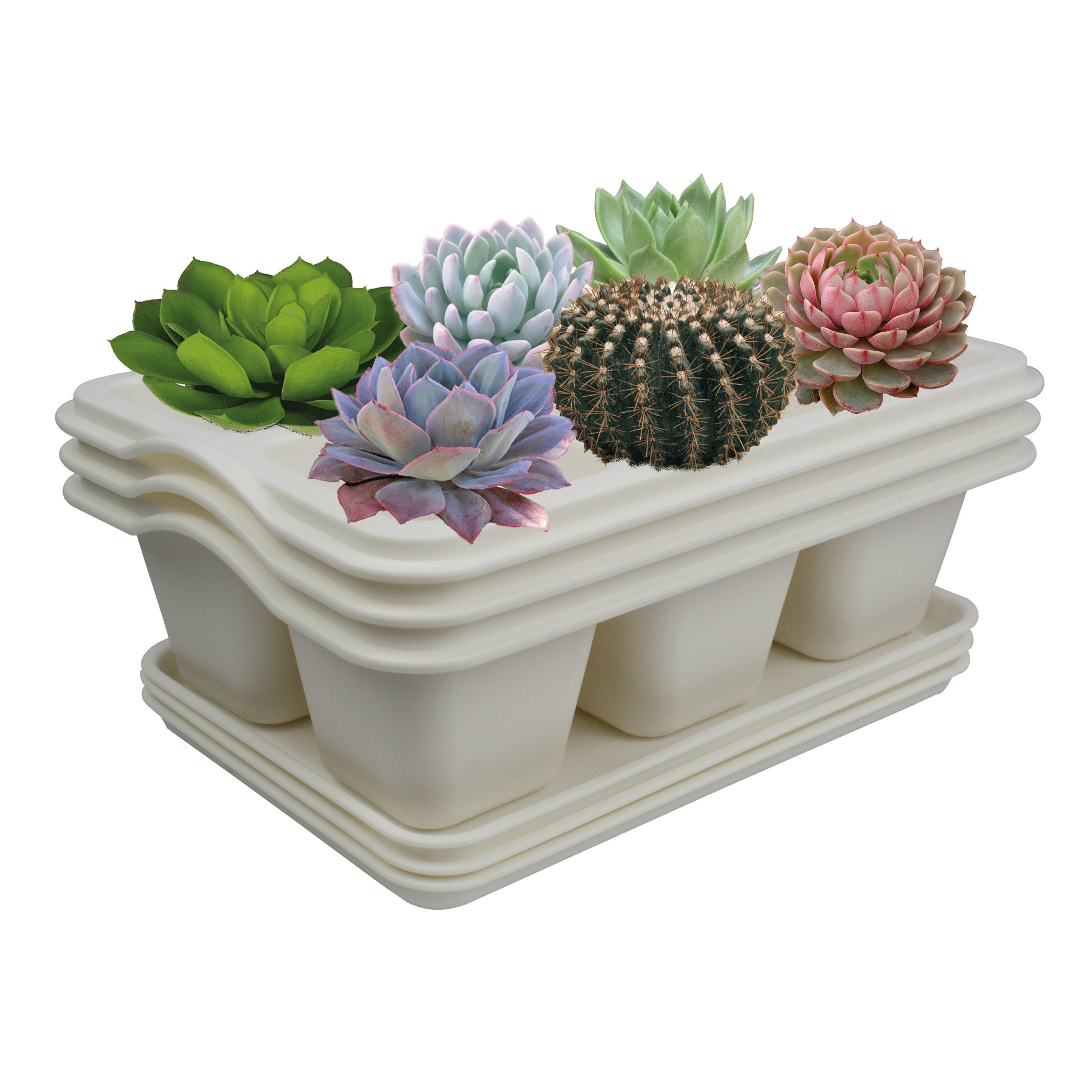 Kit de 3 Charola Moderna Rectangular para Suculentas - Smart Garden color Blanco