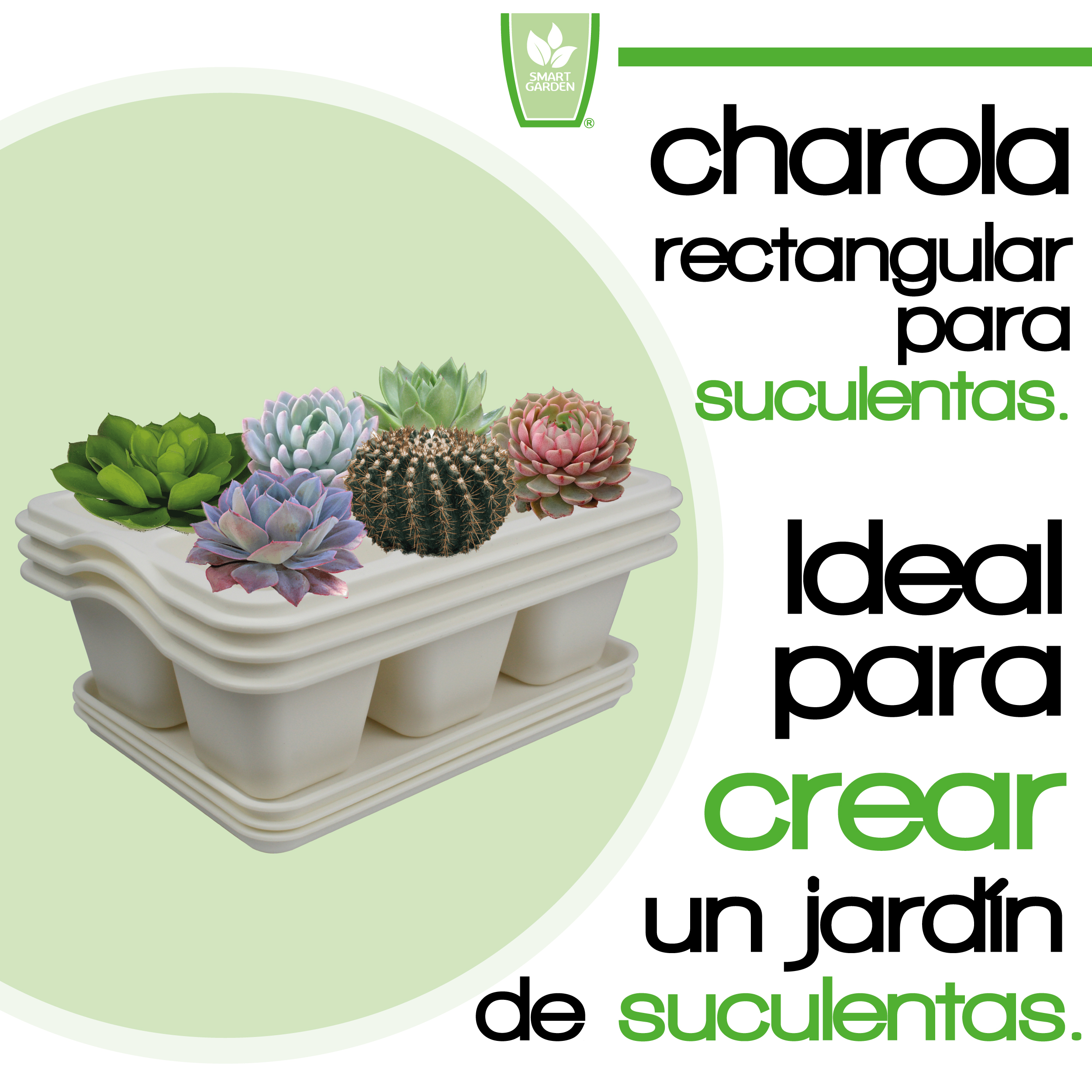 Foto 3 pulgar | Kit de 3 Charola Moderna Rectangular para Suculentas - Smart Garden color Blanco