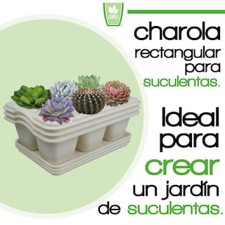 Foto 2 | Kit de 3 Charola Moderna Rectangular para Suculentas - Smart Garden color Blanco