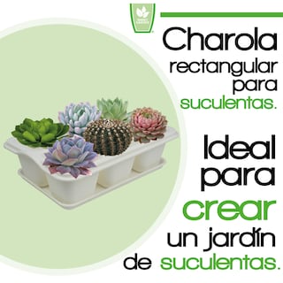 Foto 2 | Charola Moderna Rectangular Para Suculentas Smart Garden Blanco