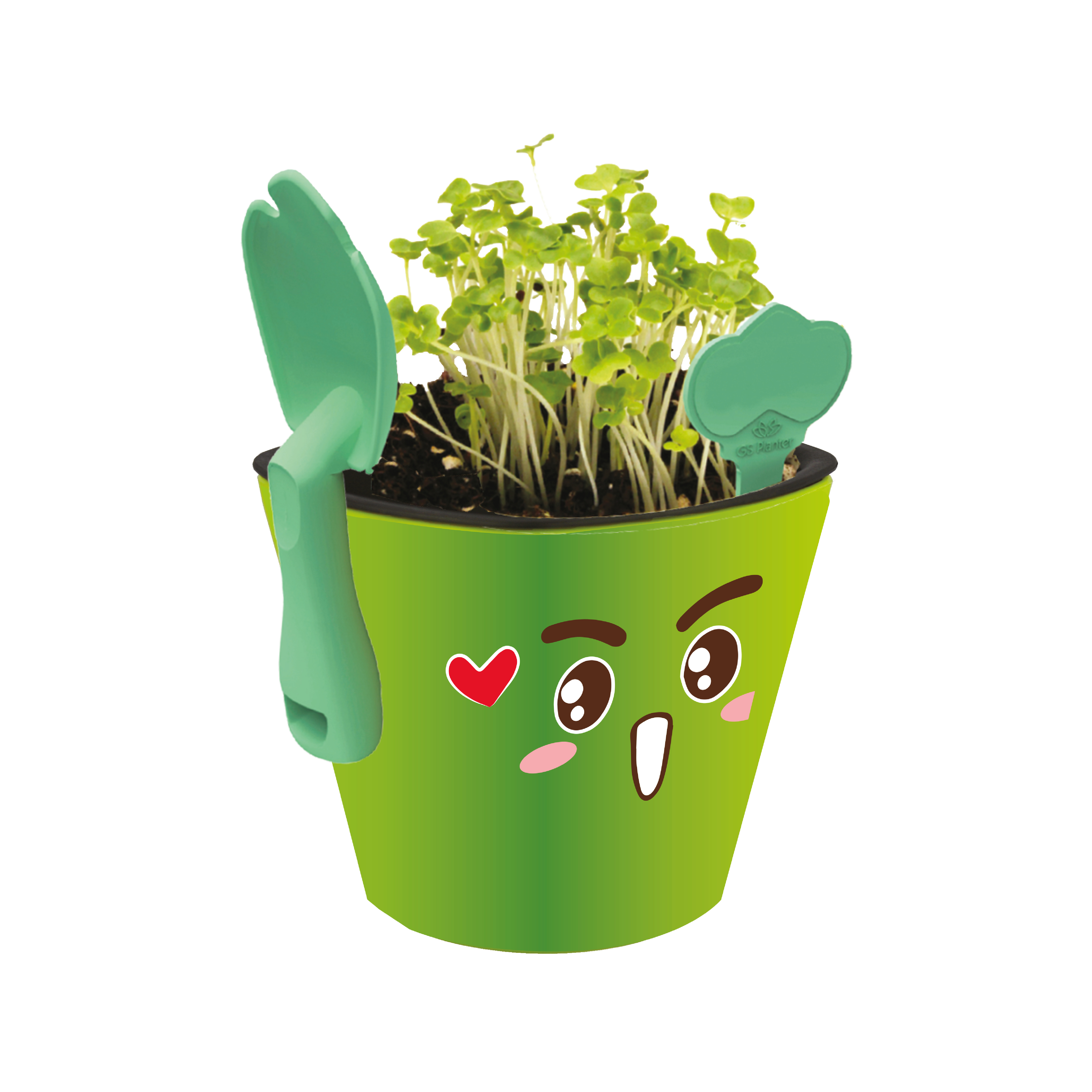 Foto 2 pulgar | Kit Educativo Juguete Didáctico para Niños - Aprendizaje de Vocabulario Inglés Español - Germinación de Plantas