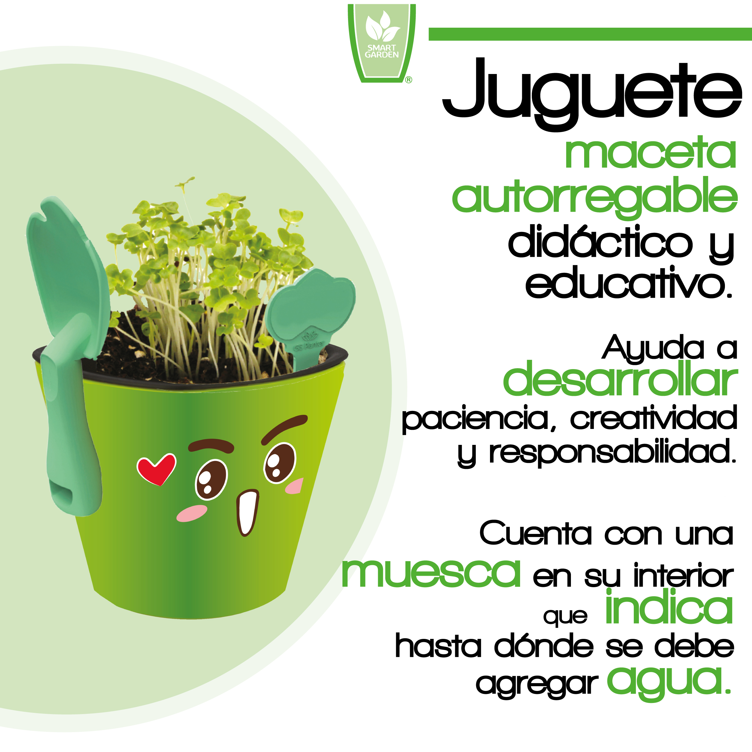 Foto 3 pulgar | Kit Educativo Juguete Didáctico para Niños - Aprendizaje de Vocabulario Inglés Español - Germinación de Plantas