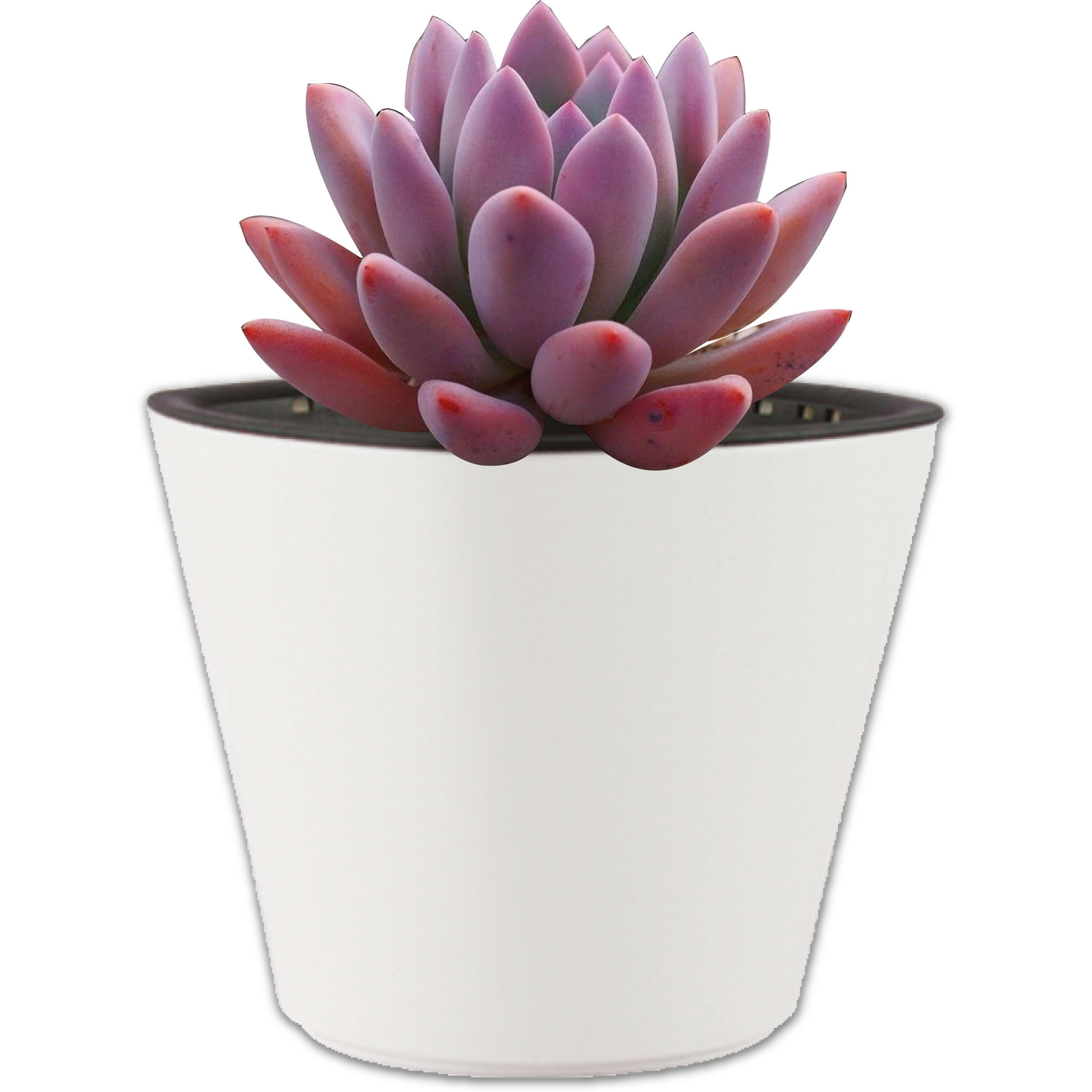 Maceta Autorregable Oc1009 - Smart Garden color Blanco Mate