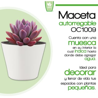 Foto 2 | Maceta Autorregable Oc1009 - Smart Garden color Blanco Mate