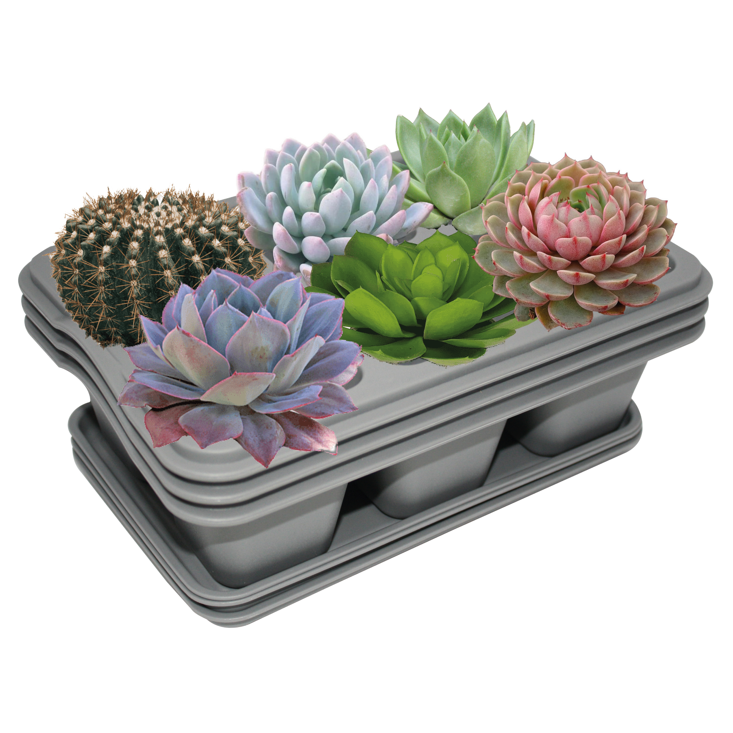 Kit de 3 Charola Moderna Rectangular para Suculentas - Smart Garden color Gris